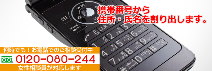 �g�єԍ������@����