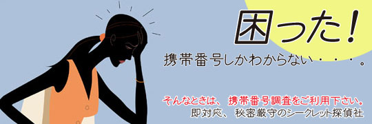 �g�єԍ������@����